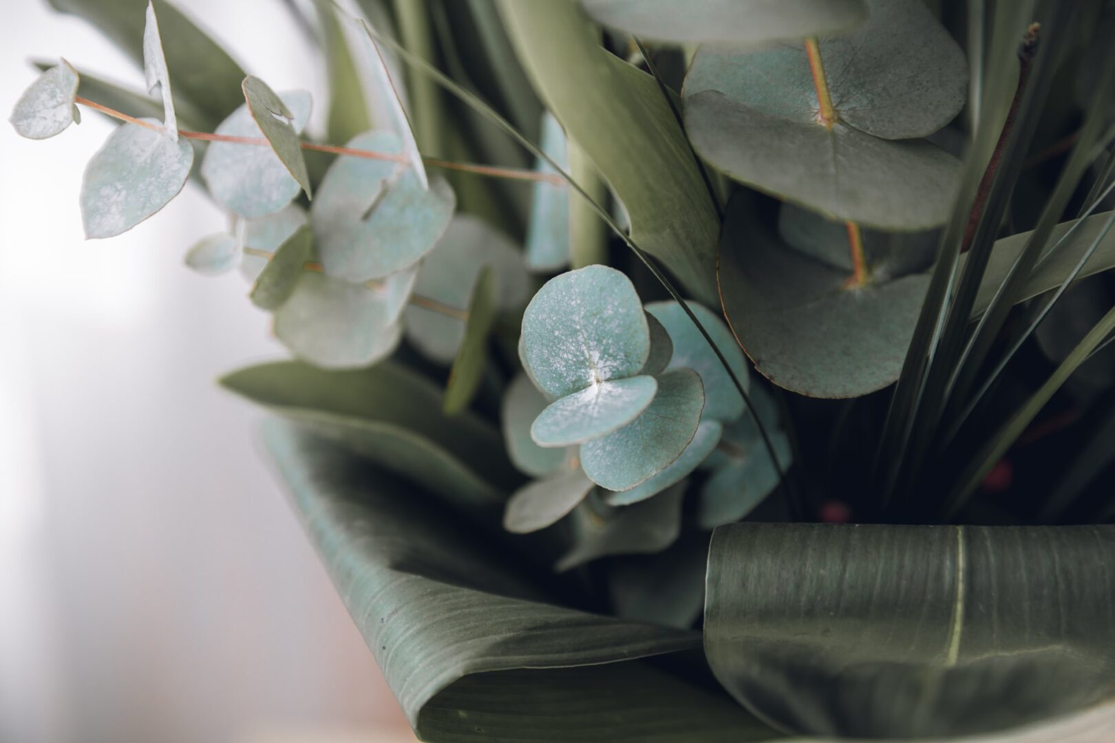 A close up of some flowers and leaves